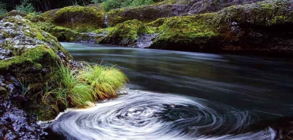 river with moss covered rocks