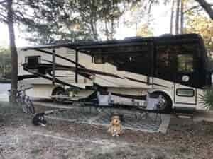 class a rv parked in rv resort 2 dogs leashed and lying down by camp table
