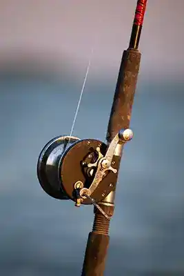 vintage rod and reel