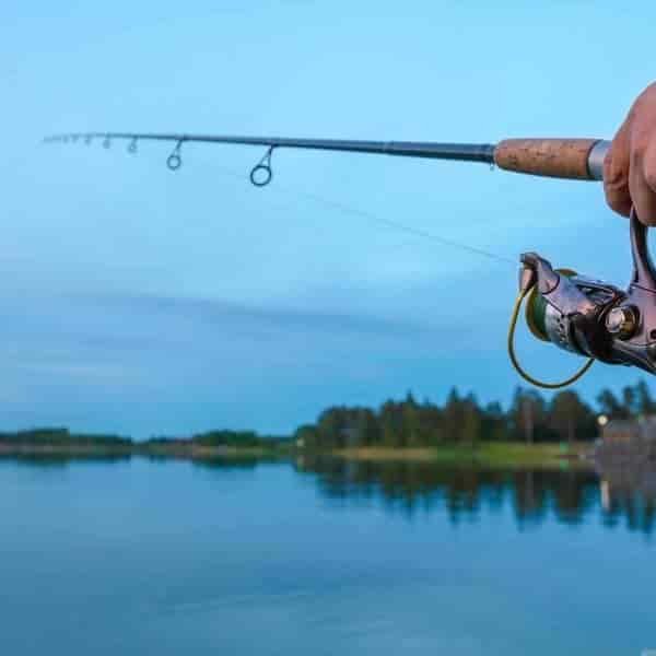 California Fishing License