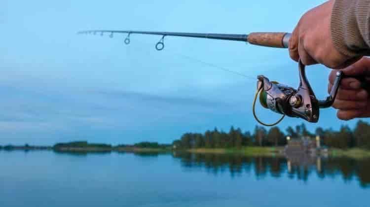 California Fishing License