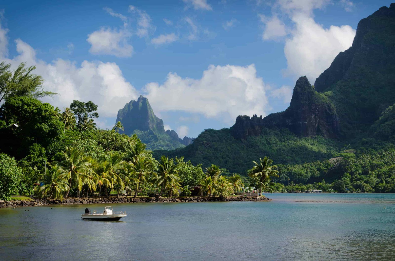 Do You Have To Have A Fishing License In Hawaii?