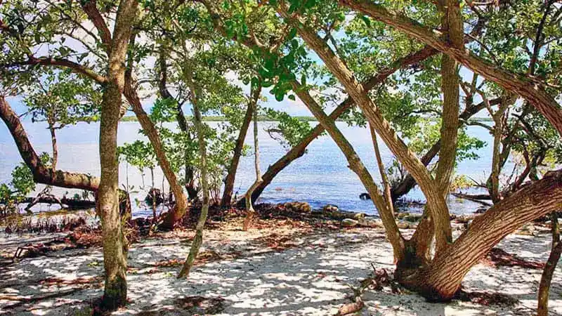 Top 10 RV Parks in Bradenton FL