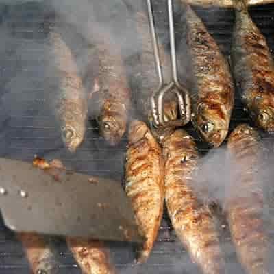 cooking red snapper fish on bbq grill during summer roast