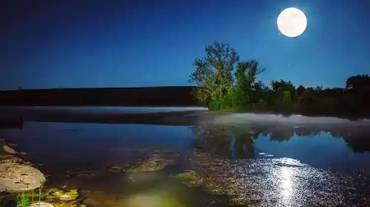 Does Moon Phase Affect Freshwater Fishing?