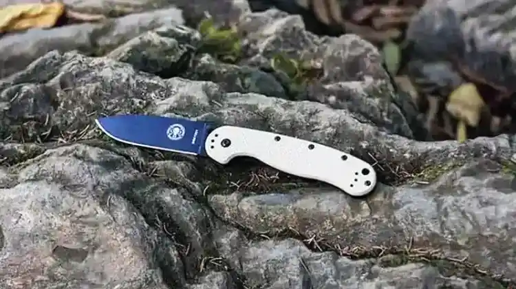 10 Best Survival Knives For Any Adventure