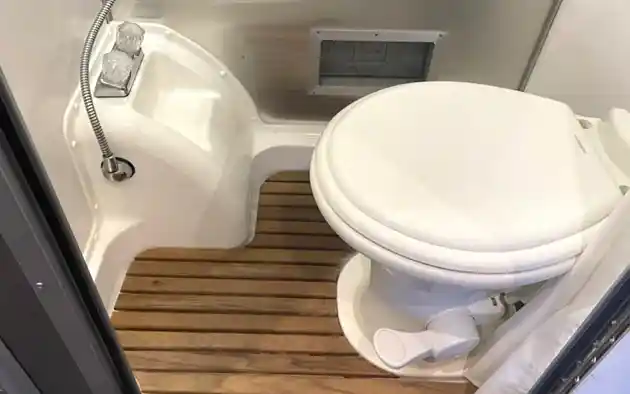 Can You Use Regular Toilet Bowl Cleaner RV - guide
