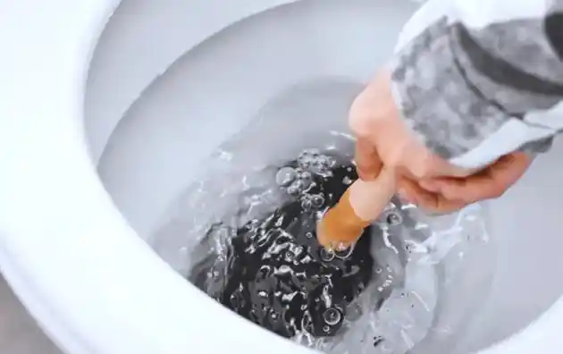 Cleaning RV Toilet