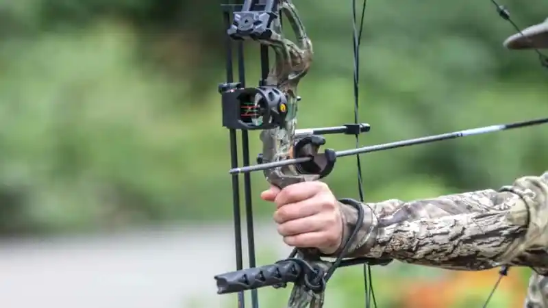 How to Hold a Bow and Arrow in 10 Steps