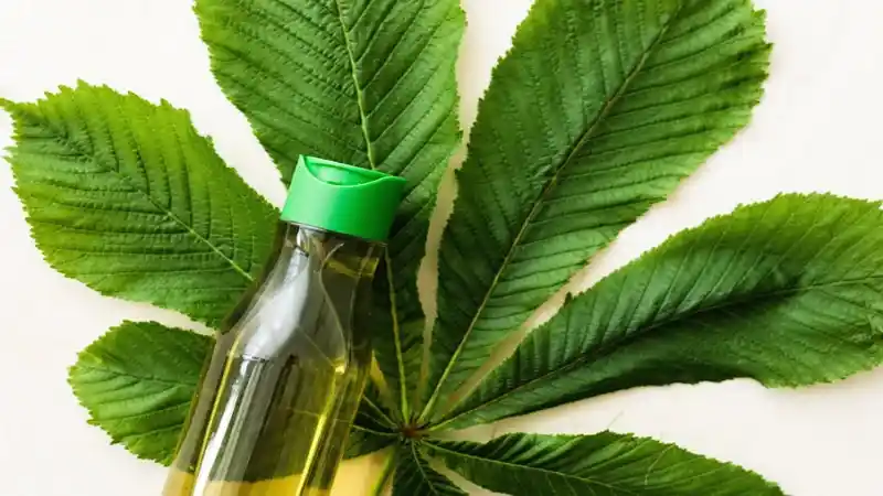 10 Essential Supplies for Making Natural Medicine