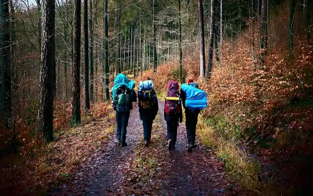Everything You Need to Know About Wilderness Therapy - guide