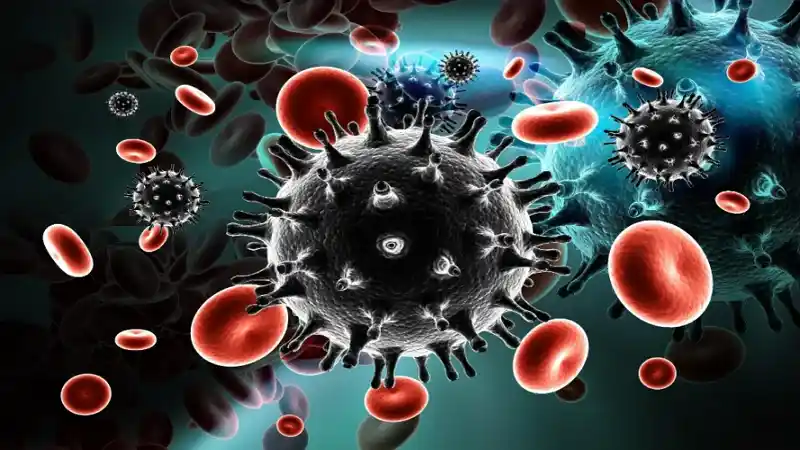 The Ultimate Pandemic Survival Guide