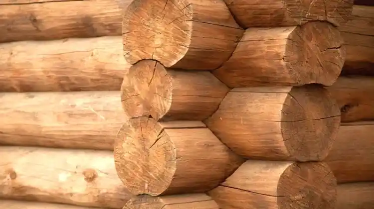 Where To Buy Logs For Log Cabin?