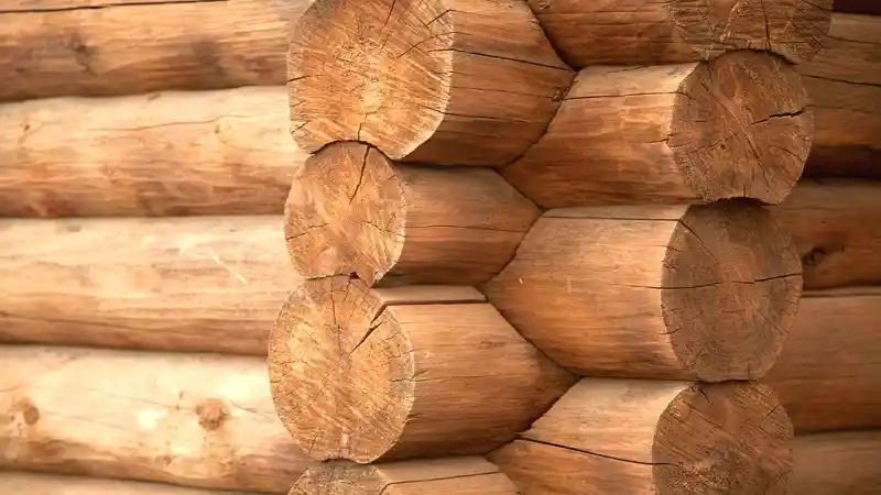 Where To Buy Logs For Log Cabin?
