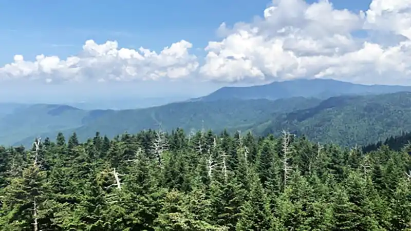 Sylva NC Campgrounds