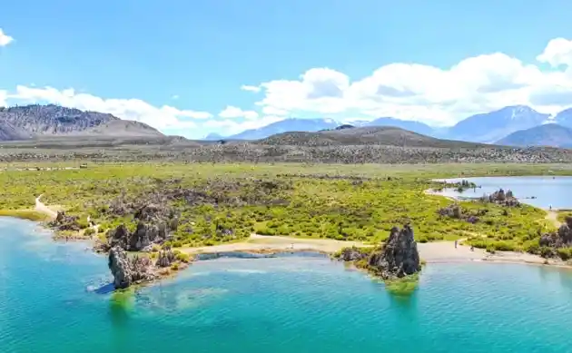 Swimming In Mono Lake