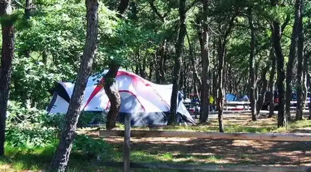 10 person tent at brewster MA camping