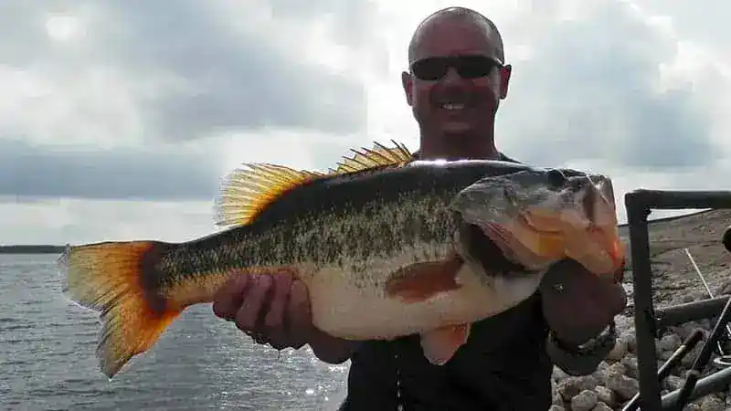 What Size Test Line For Bass Fishing?